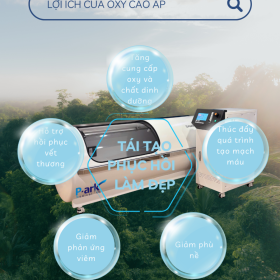 Liệu pháp thay thế tốt nhất cho cấy tóc: Liệu pháp Ozone hay Liệu pháp Oxy cao áp?